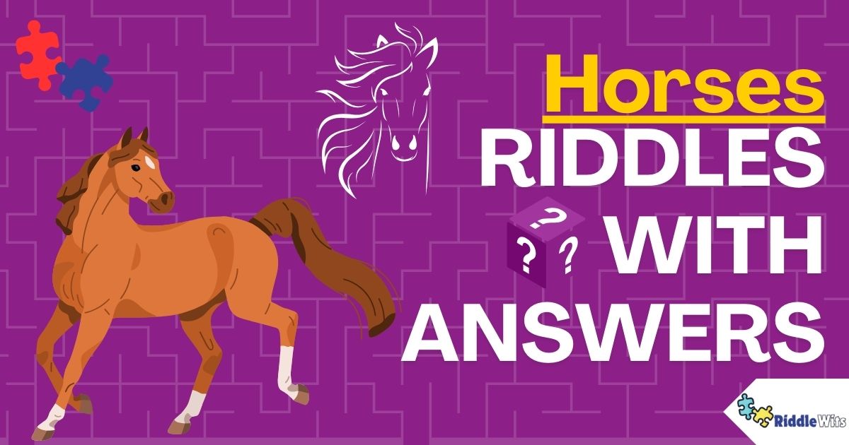 Riddles About Horse