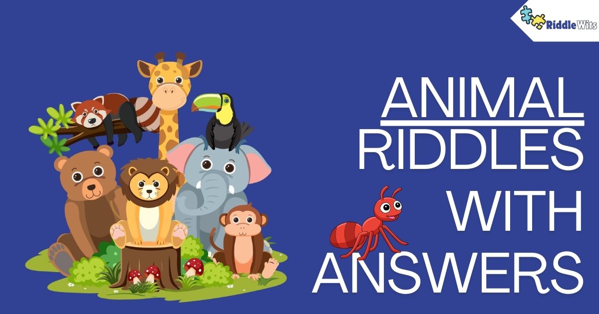 Riddles about Animals