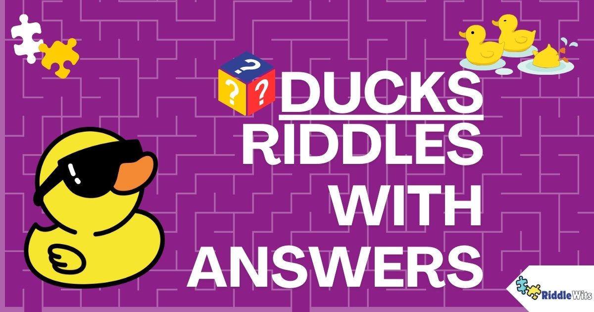 Riddles about Ducks