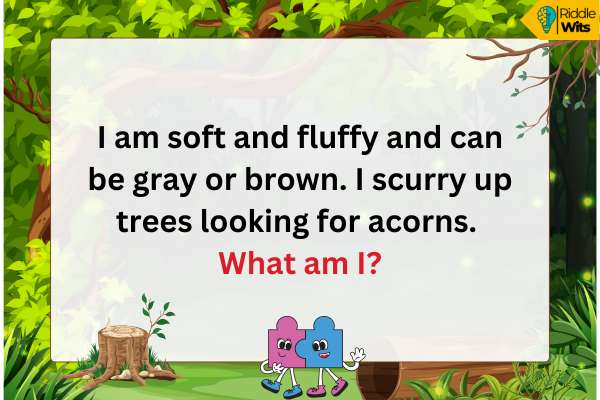 Forest Riddles for Kids