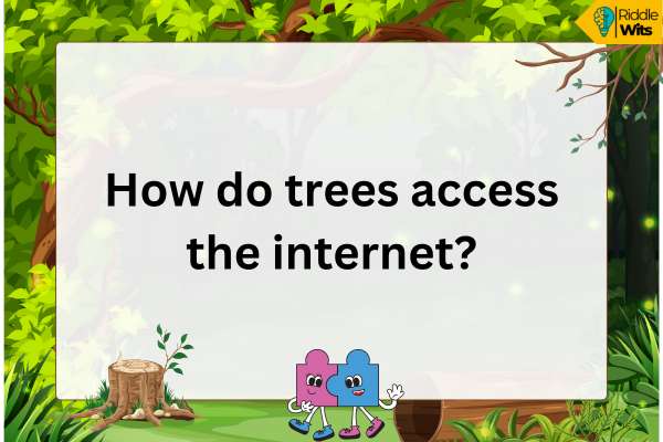 Funny Riddles About Forest