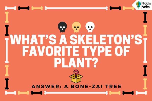 Funny Skeleton Riddles Funny Skeleton Riddles