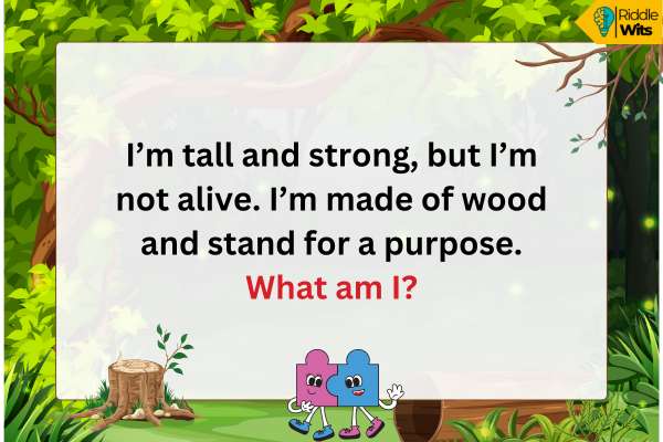 Hard Riddles About Forest