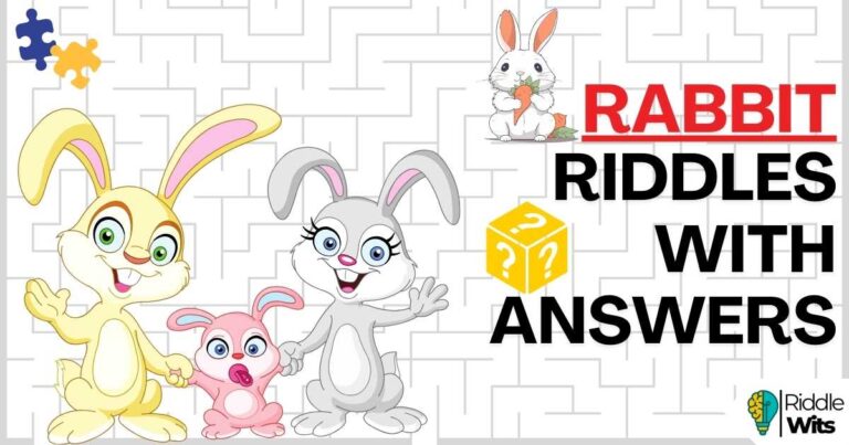 Riddles about rabbits