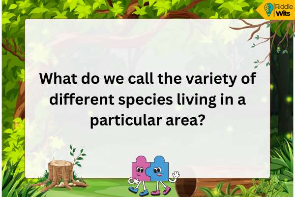 Science Riddles About Forest