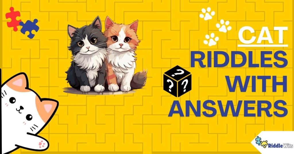 cat riddles with answers