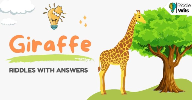 giraffe riddles with answers