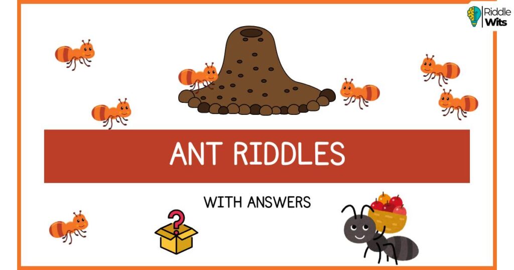 ant riddles with answers