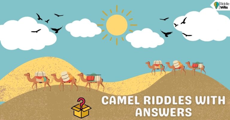 camel riddles with answers