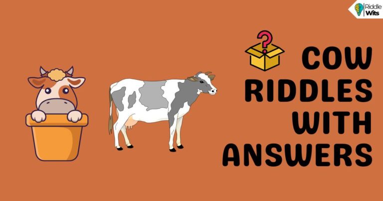 cow riddles with answers
