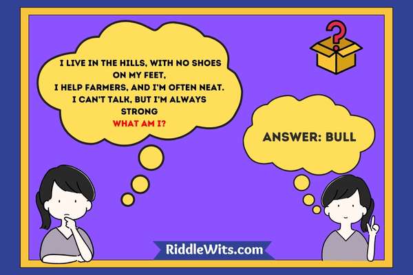 funny nepali riddles funny nepali riddles