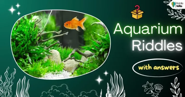 aquarium riddles with answers