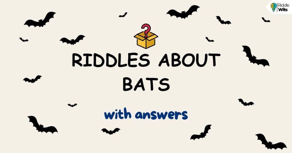 riddles about bats with answers