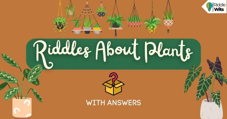 riddles about plants with answers