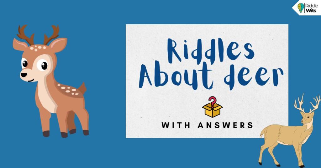 riddles about deer with answers