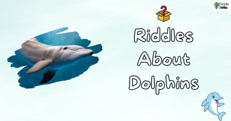 riddles about dolphins with answers