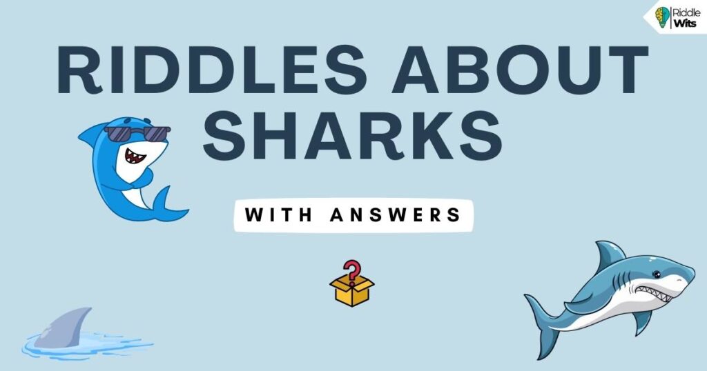 riddles about sharks with answers