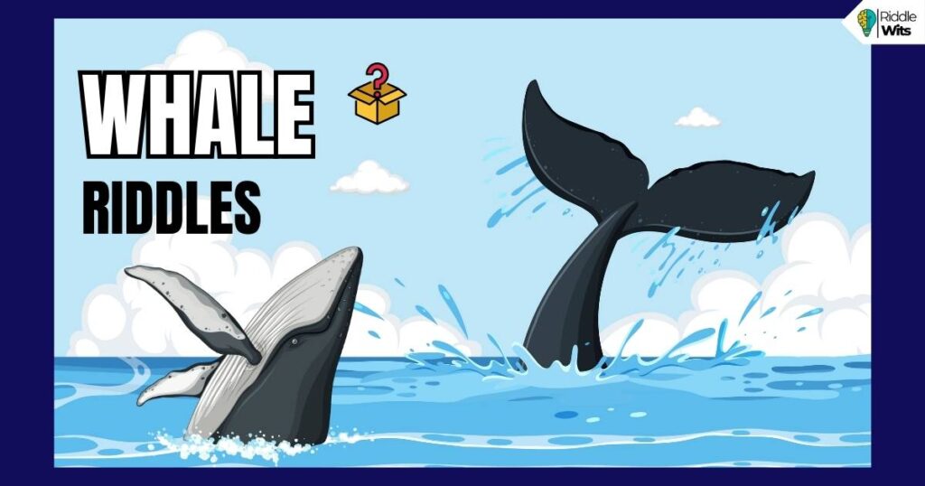 whale riddles with answers