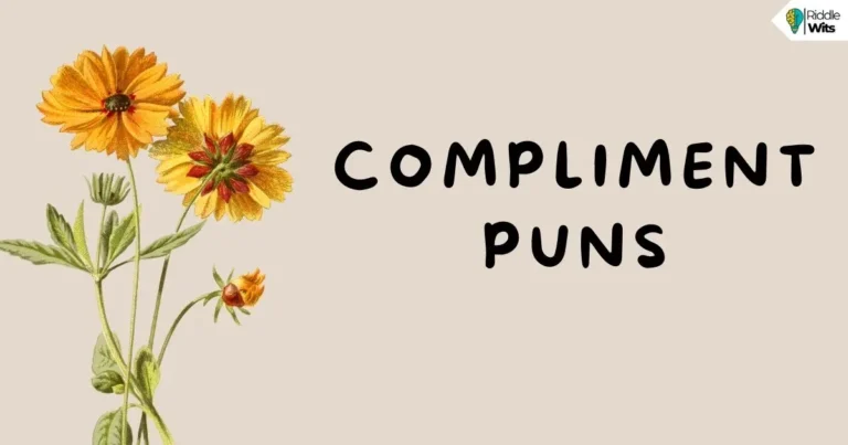 compliment puns
