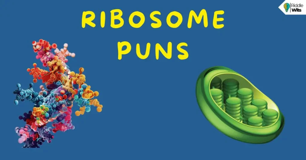 ribosome puns