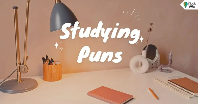 studying puns